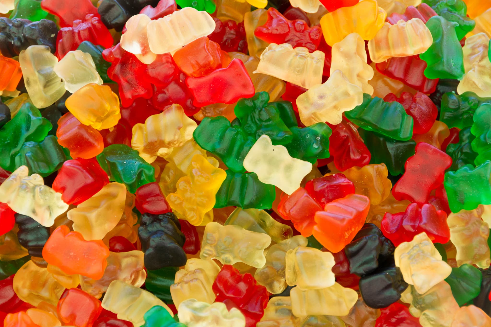 Find the Tastiest Mushroom Gummies Near Me – Microdose or Macrodose, We Have It All!