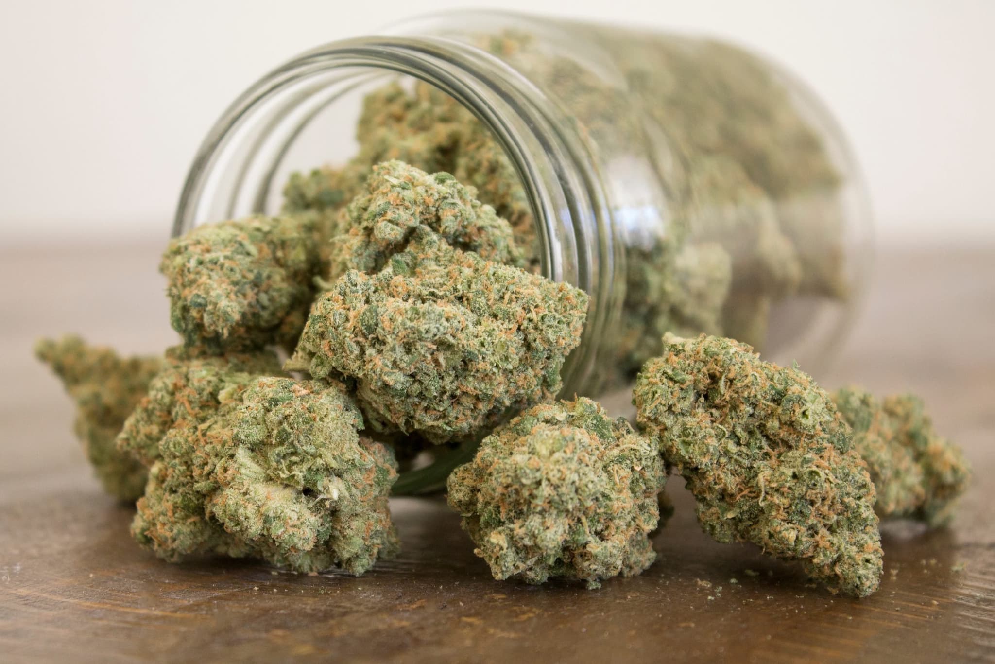 Amplia selección de resinas premium para compradores profesionales con CBD hash wholesale