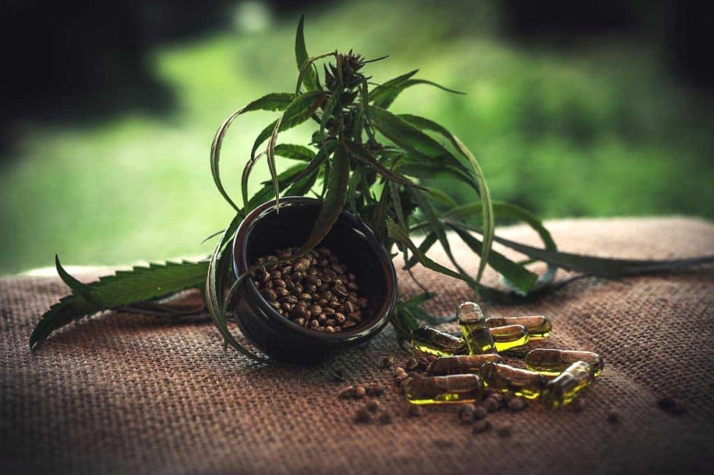 Green Care : Boutique en Ligne Spécialisée en Infusion au CBD et Produits Naturels de Qualité
