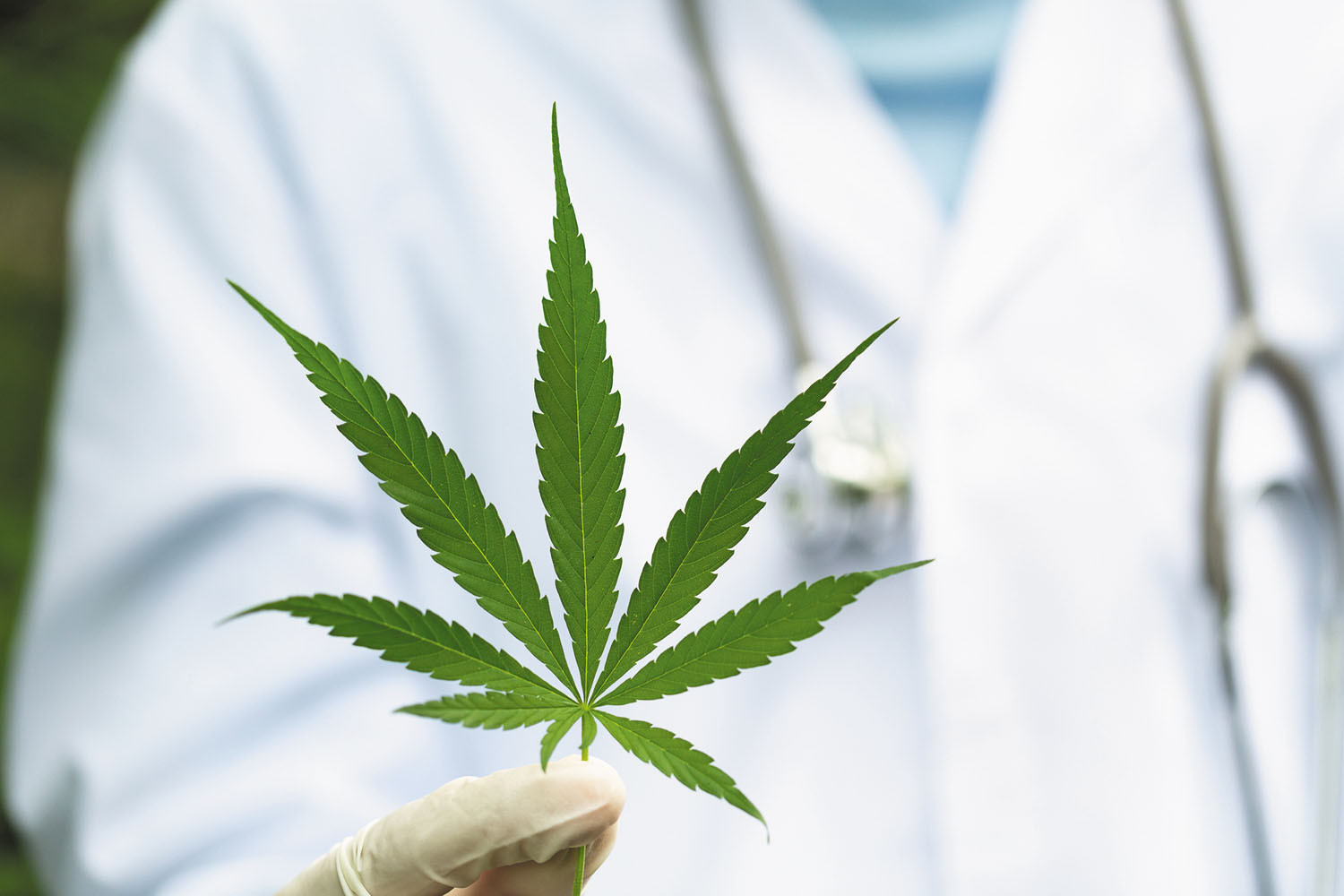 CBD OG Kush Quality Guaranteed: Hand-Picked and Physician-Tested Products
