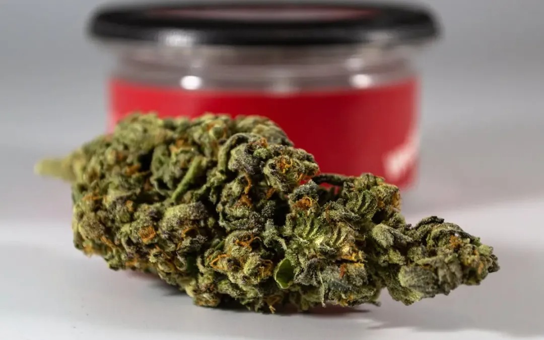 THCA Flower UK: Key Facts for Beginners