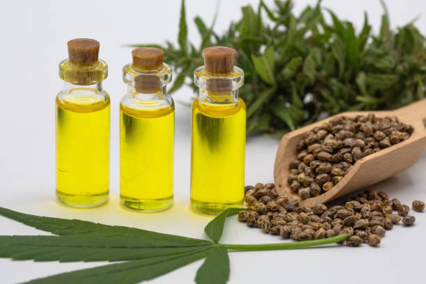 Cannabis Extracts Aussie – Educational Insights on Cannabis Extracts