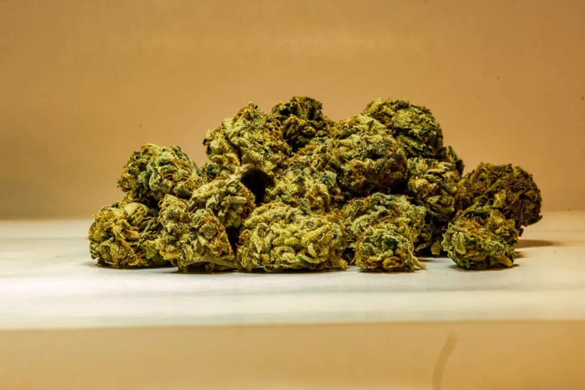 Buy Marijuana strains in Australia: Premium Selection with Fast, Secure Delivery