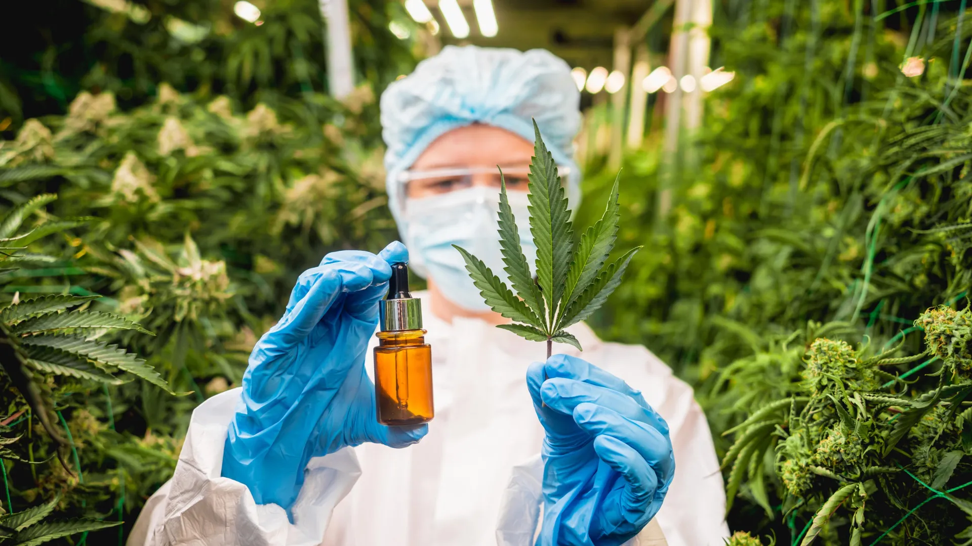 Research Excellence: Buy Synthetic Cathinones Stimulant for Accurate Results